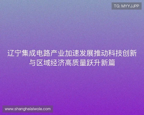 辽宁集成电路产业加速发展推动科技创新与区域经济高质量跃升新篇 辽宁集成电路产业加速发展推动科技创新与区域经济高质量跃升新篇